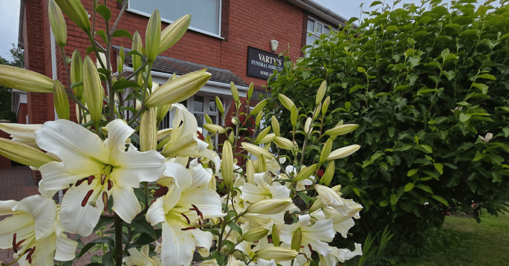 Close up Image of some white Lillies with Varty's Funeral Directors Funeral Parlour sign on the red brick building at Darlville on Manchester Road in Wigan